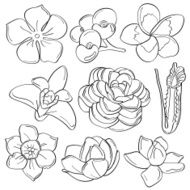 Cutie Flowers