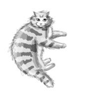 Cute grey cat sketch for your design