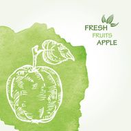 Watercolor background with apple in vector