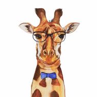 Watercolor Giraffe Portrait