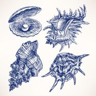 Set with seashells