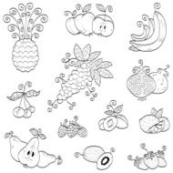 Doodle fruits berries