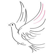 Dove sketch
