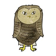 Cartoon Owl N245