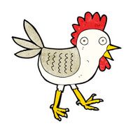 funny cartoon chicken N15