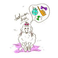 Illustration with fashion poodle dog