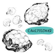 Cauliflower N2