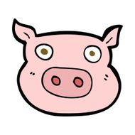Cartoon Pig Face N17