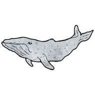 Cartoon Whale N143