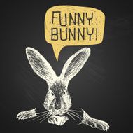 Easter funny bunny humorous phrase illustration