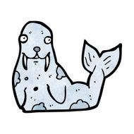 cartoon walrus N11