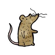 cartoon mouse with twitchy nose N2