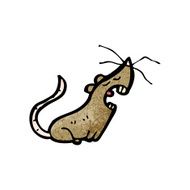 Cartoon Mouse N99