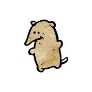 Cartoon Shrew N16