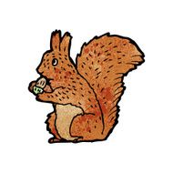 Cartoon Squirrel N73