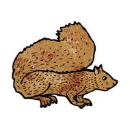 Cartoon Squirrel N75