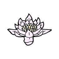 waterlily cartoon N4