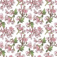 Seamless Floral Pattern N141