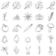 Vector Set of Sketch Plants Icons