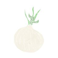 Cartoon Onion N30