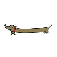 Cartoon Dachshund N37