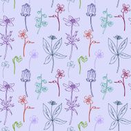 Seamless pattern with line drawing herbs N8