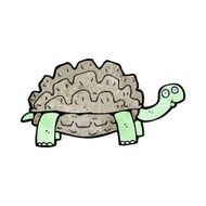 Cartoon Tortoise N96