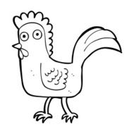 Cartoon Chicken N149