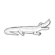 cartoon happy crocodile N15