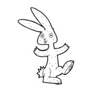 Cartoon Rabbit N222