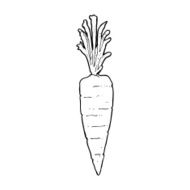 Cartoon Carrot N66