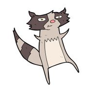 Cartoon Raccoon N49