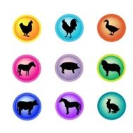 Icons Set of Farm Animals