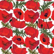 Floral seamless pattern of poppy - Illustration N2