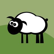 White sheep