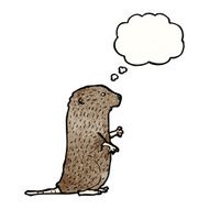 Cartoon Beaver N55