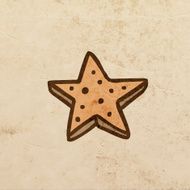 star cookie N2