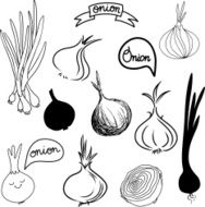 Sketch onions set