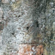 Painted Texture N9