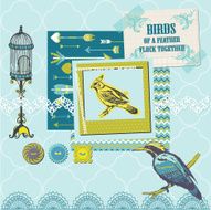 Vintage Birds Set