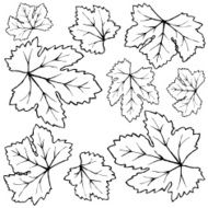 Autumn leaves doodles set N2