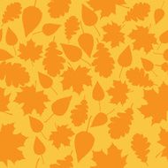 pattern of autumn leaves N4