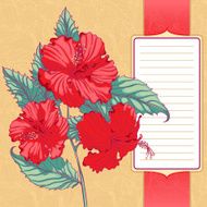 frame with red hibiscus