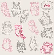Doodle Owl Set