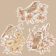 Doodle Birds And Flowers