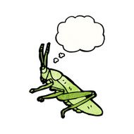 Cartoon Grasshopper N8