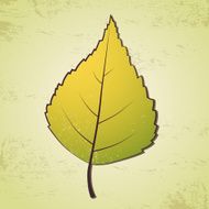 Birch leaf