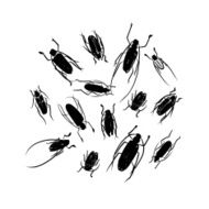 Sketch of funny colorful beetles for your design N2