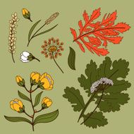 Flowers and leaves N5