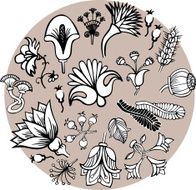 Fantasy floral elements